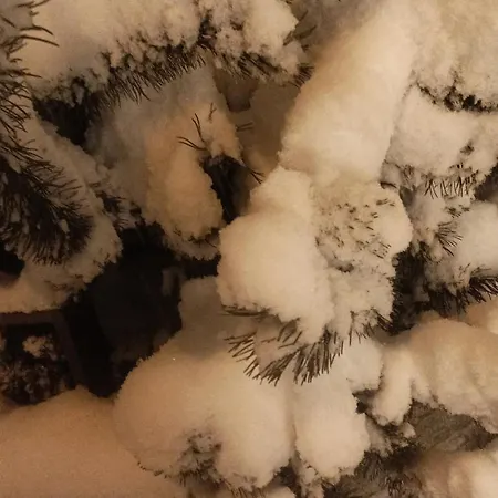 Palace 2 3* セストリエーレ