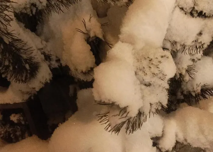 Palace 2 3* Sestriere